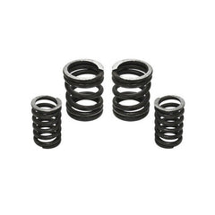 Industrial Injection 232702 - 5000 RPM Governor Spring Kit 5000GSK