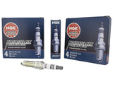 Ford Performance - 3V Cold Spark Plug Set (12 MM Thread) - M-12405-3V12MM