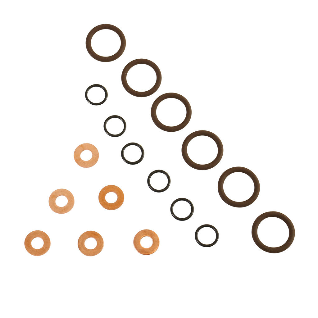 BD Diesel 1075800 1998-2002 Dodge Ram 2500 Fuel Injector Seal Kit