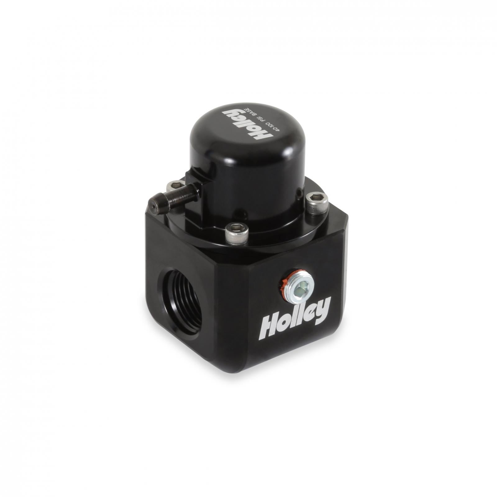 Holley 12-1009 Universal Fit Fuel Injection Pressure Damper