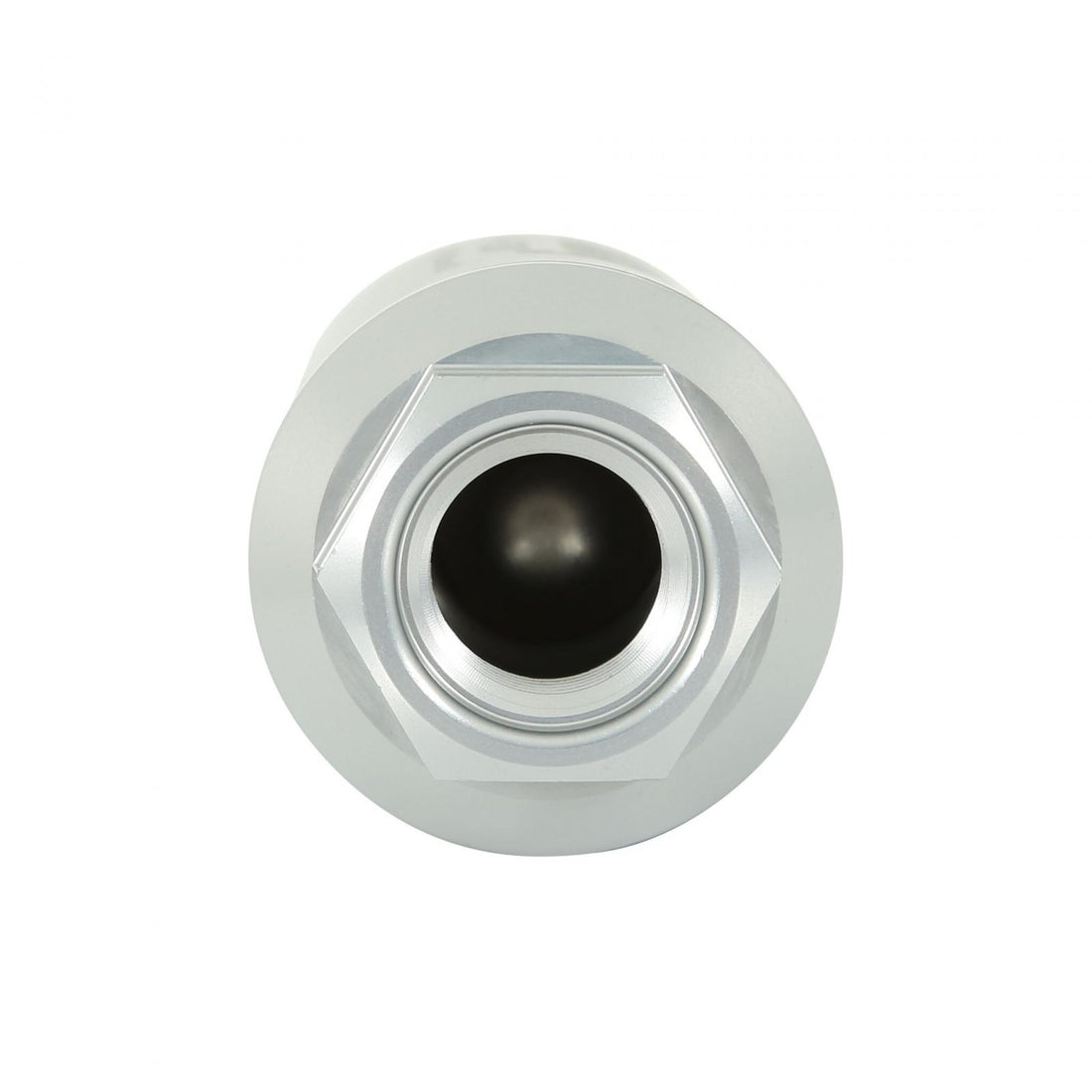 Holley 162-550 Fuel Filter