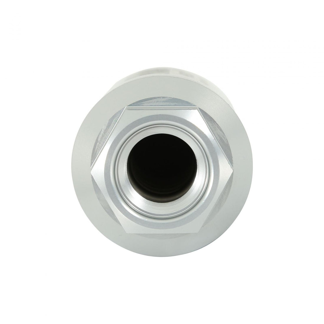 Holley 162-550 Fuel Filter