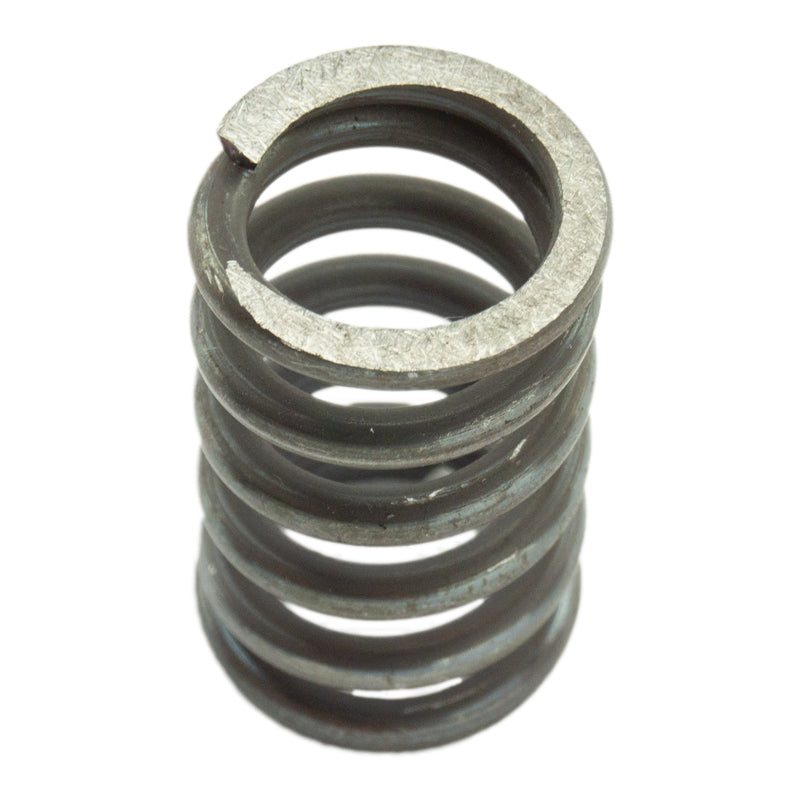Industrial Injection 232614 - 3000 GOV. SPRING KIT 5