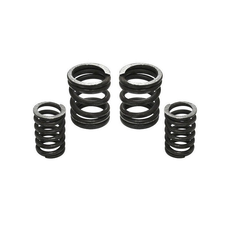 Industrial Injection 232702 - 5000 RPM Governor Spring Kit 5000GSK 1