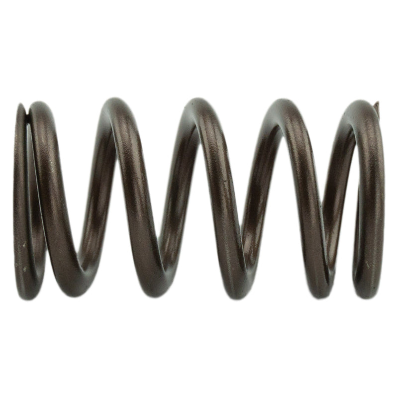 Industrial Injection PDM-160-1484S-24 - 1998.5-2018 Cummins 24 Valve 95 LB Upgraded Valve Springs 1