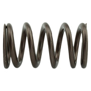 Industrial Injection PDM-160-1484S-24 - 1998.5-2018 Cummins 24 Valve 95 LB Upgraded Valve Springs 1