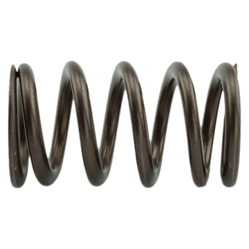 Industrial Injection PDM-160-1484S-24 - 1998.5-2018 Cummins 24 Valve 95 LB Upgraded Valve Springs 1
