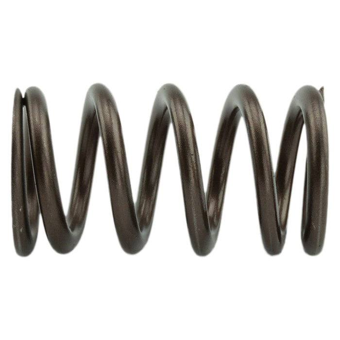 Industrial Injection PDM-160-1484S-24 - 1998.5-2018 Cummins 24 Valve 95 LB Upgraded Valve Springs 1