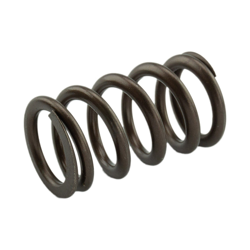 Industrial Injection PDM-160-1484S-24 - 1998.5-2018 Cummins 24 Valve 95 LB Upgraded Valve Springs 2