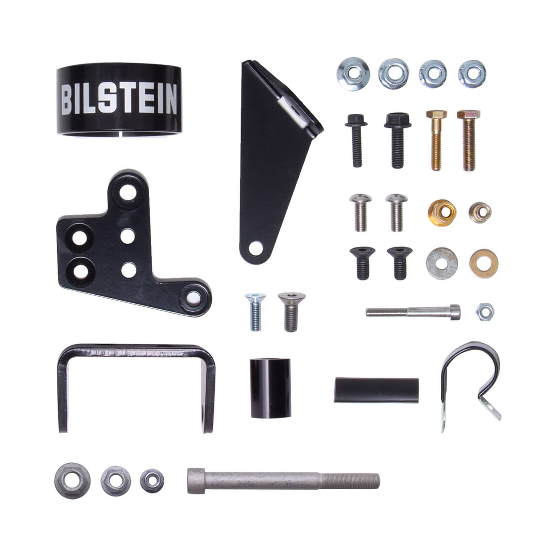 Bilstein NA Bilstein 25-331066 Suspension Shock Absorber Front Left Monotube B8 8100