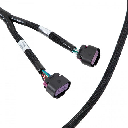 AEM Electronics 30-8604 - Front Low Voltage VCU275 Harness Low Voltage Harness Assembly AEM Electronics 2
