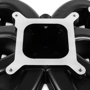 Holley HOL300-132BK