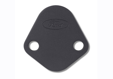 Ford Performance 302-291 - Fuel Pump Block-Off Plate