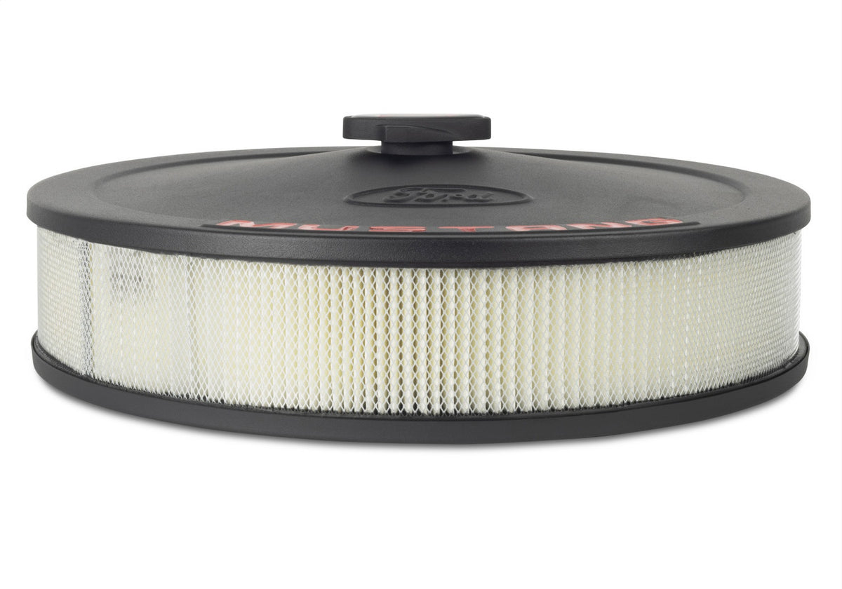 Ford Performance 302-362 - Air Cleaner Assembly