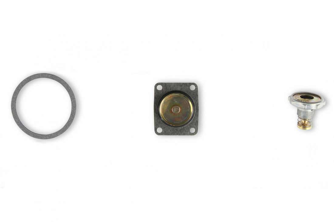 Holley 37-1542 Universal Fit Carburetor Repair Kit