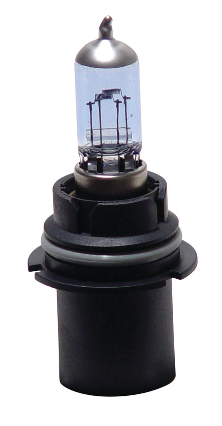 ANZO USA 809004 - Headlight Bulb