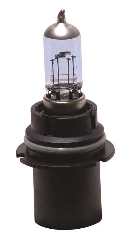ANZO USA 809004 - Headlight Bulb