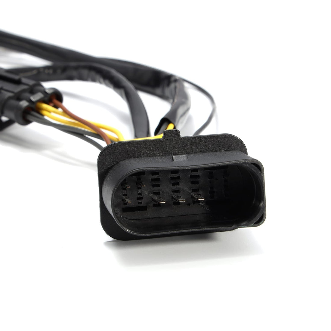 AlphaRex ARX810003