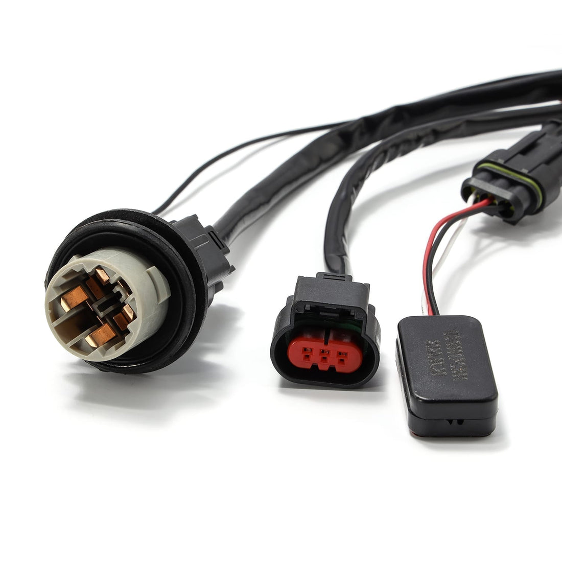 AlphaRex ARX810003