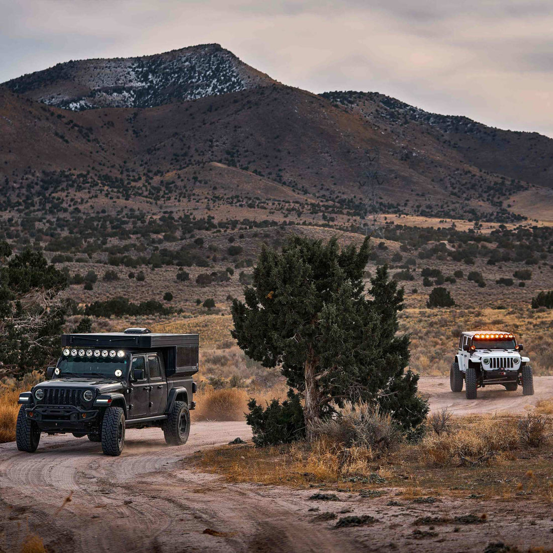 KC HiLiTES 91418 - Gravity® Titan™ LED - 8-Light 50" Light Bar 5