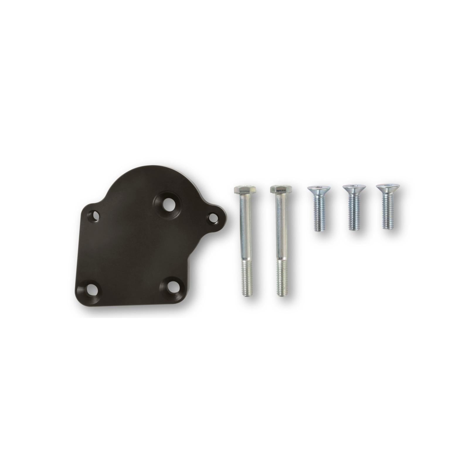Holley 97-378 Power Steering Pump Kit