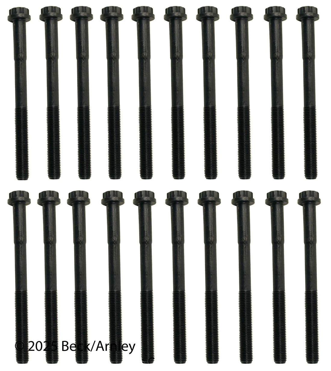 Beck/Arnley 016-1019 2003-2009 Lexus GX470 Engine Cylinder Head Bolt Set