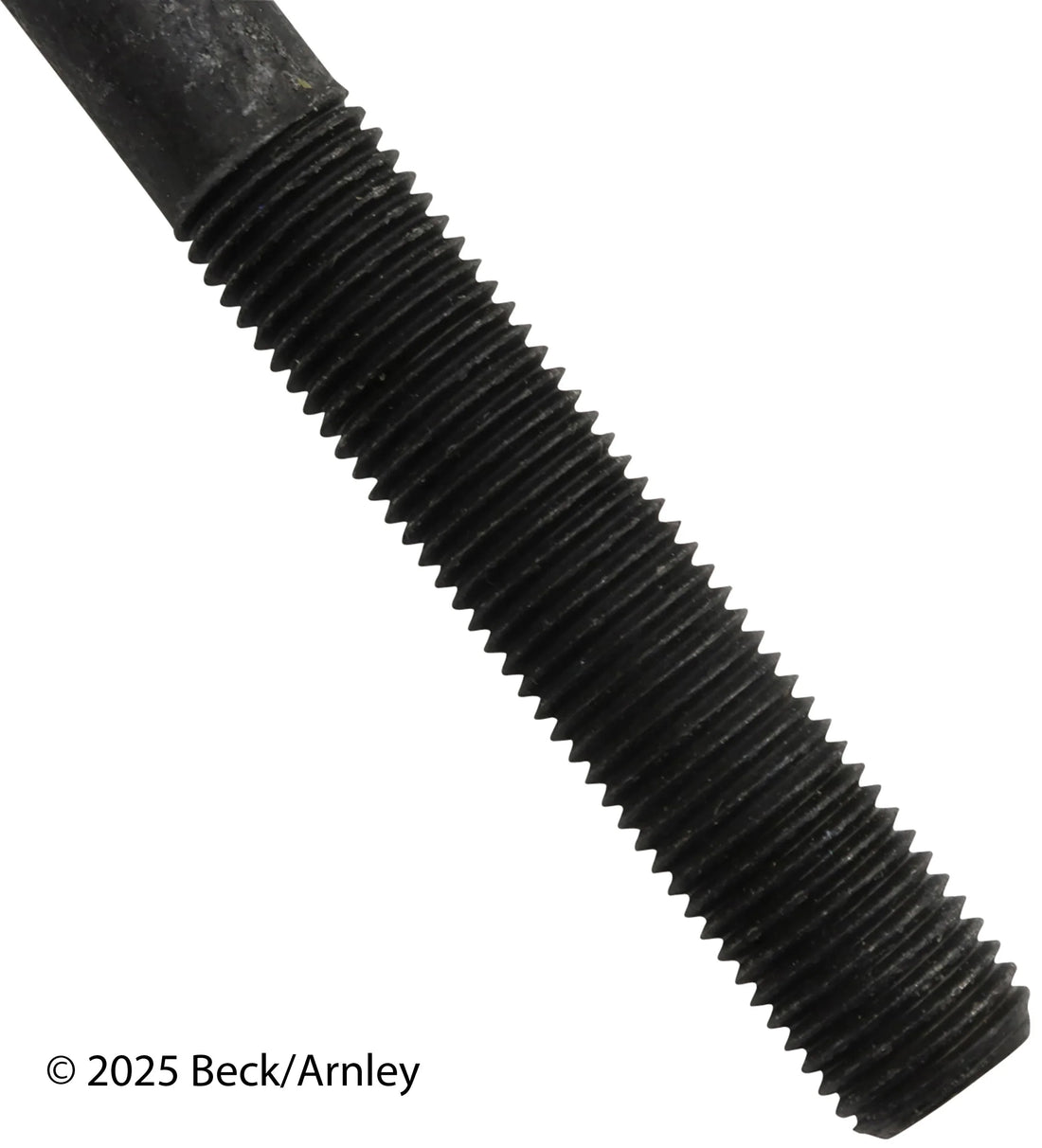 Beck/Arnley 016-1024 1996-1997 Lexus LX450 Engine Cylinder Head Bolt Set