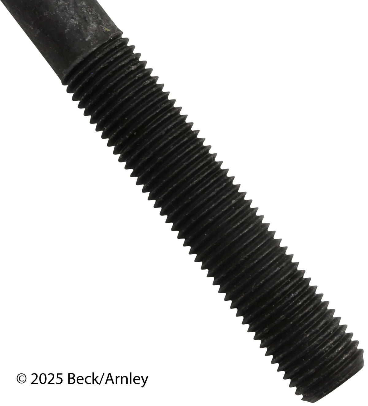 Beck/Arnley 016-1024 1996-1997 Lexus LX450 Engine Cylinder Head Bolt Set