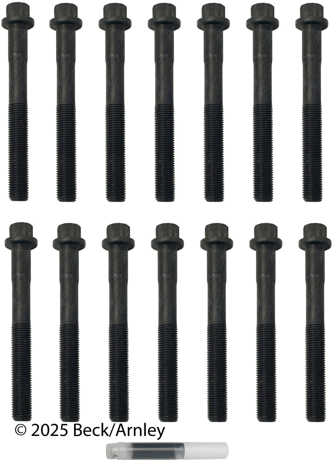 Beck/Arnley 016-1024 1996-1997 Lexus LX450 Engine Cylinder Head Bolt Set