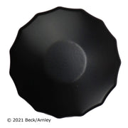 Beck/Arnley 041-8159 1994-2000 Ford Ranger Engine Oil Filter
