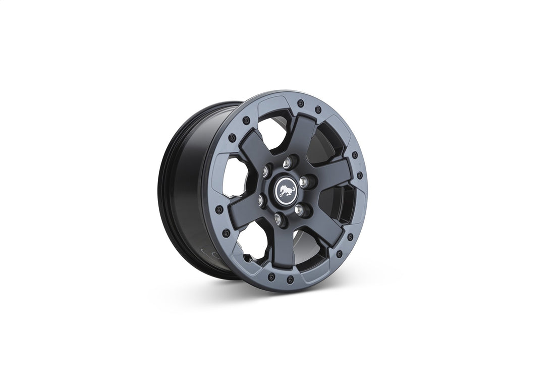 Ford Performance Ford Performance M-1007K-DC178B Wheel Bead Lock