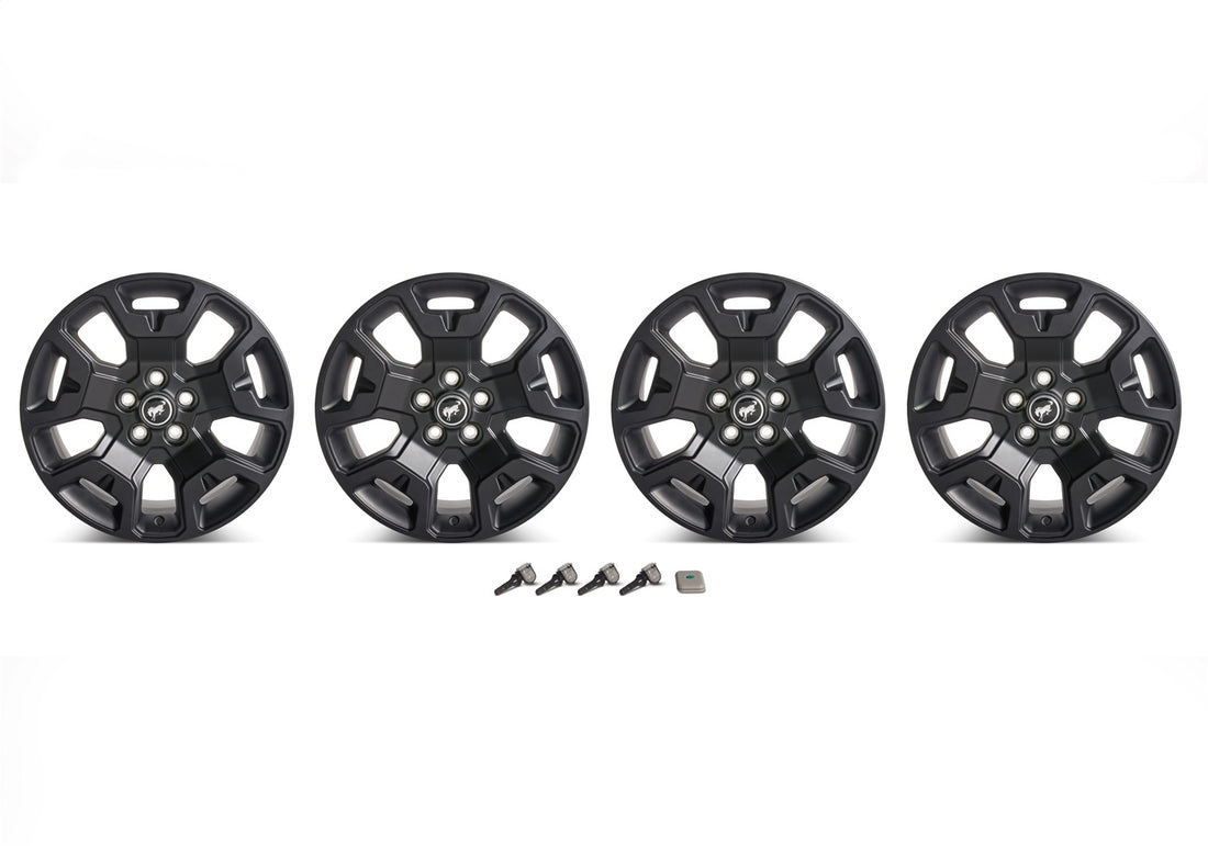 Ford Performance Ford Performance M-1007K-S17BSB Wheel Kit