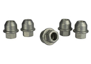 Ford Performance Ford Performance M-1012-H Wheel Lug Nut