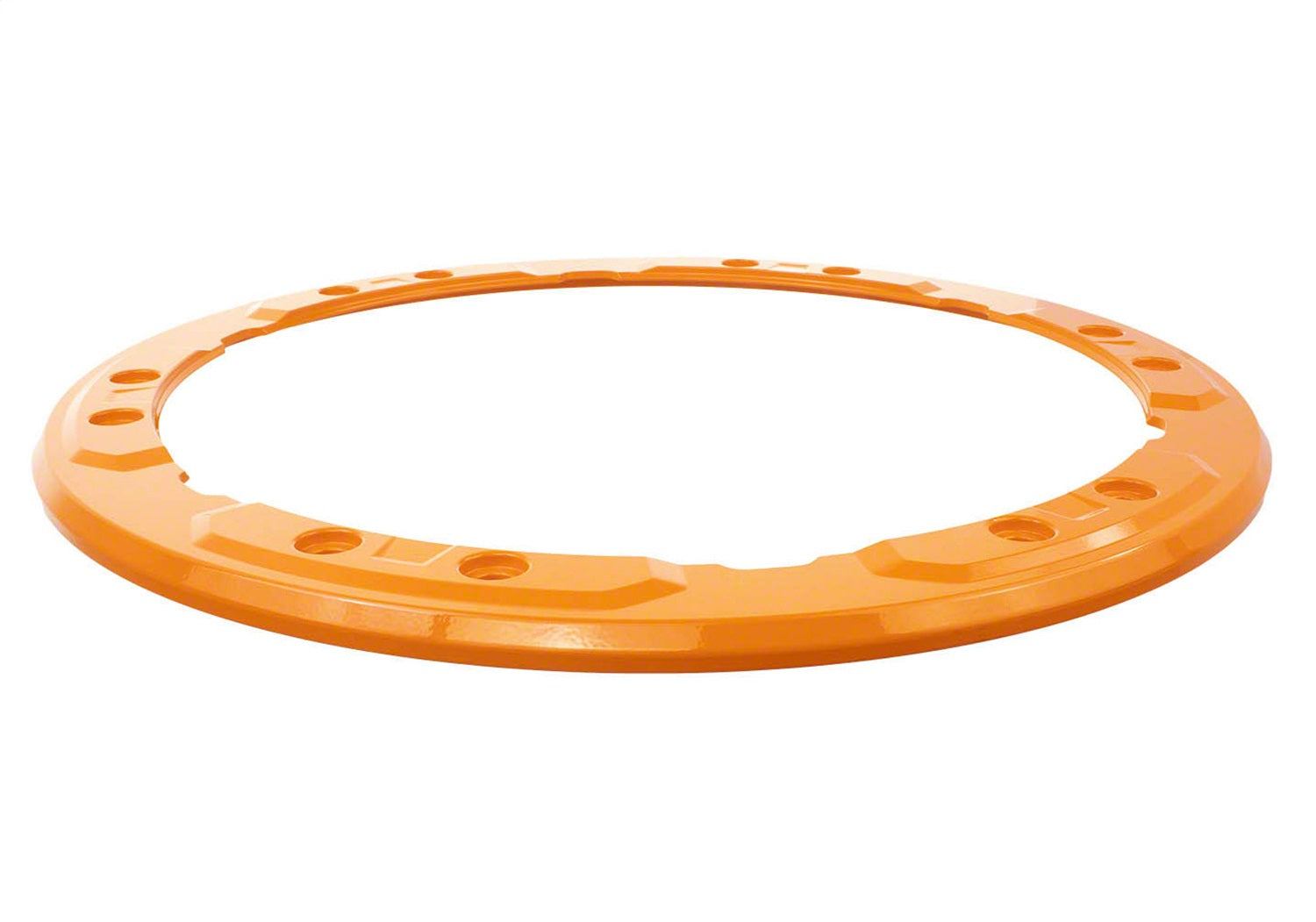 Ford Performance FPPM-1021-BLO