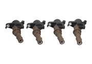 Ford Performance Ford Performance M-12029-3V Direct Ignition Coil Kit
