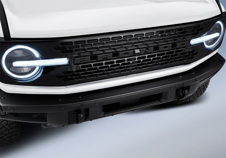 Ford Performance M-1447-BLMB - Grille Emblem