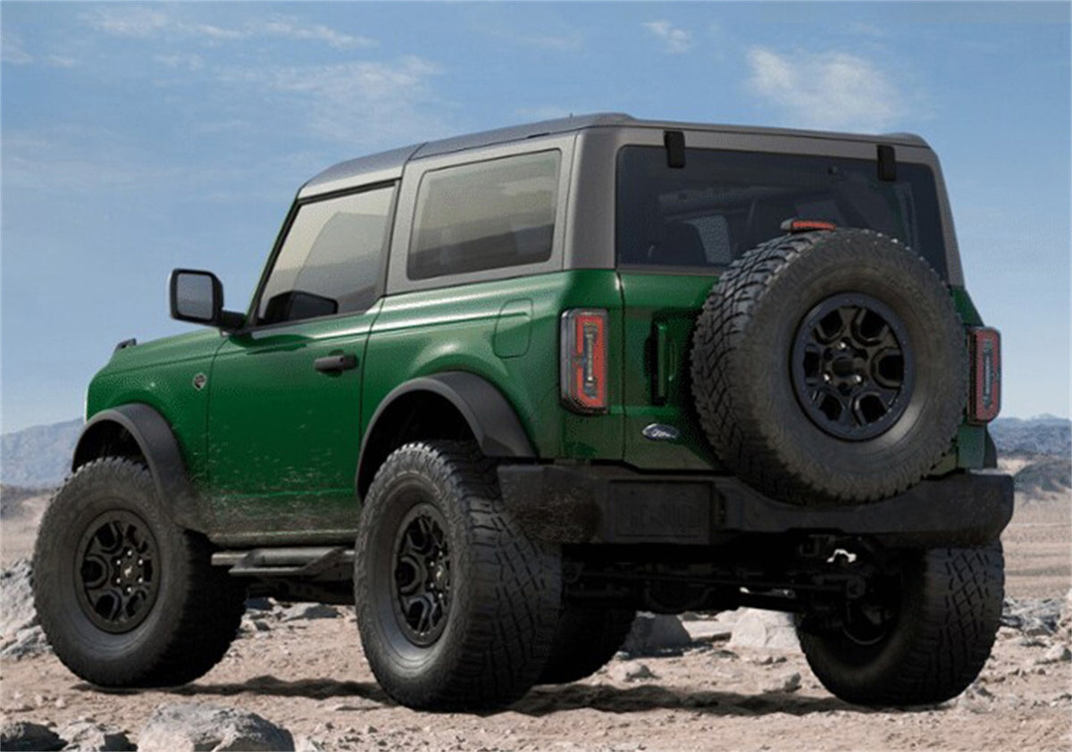 Ford Performance M-16450-BHS2 - Truck Cab Side Step