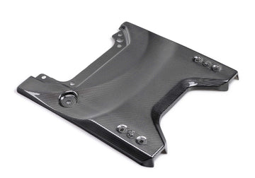 Ford Performance Ford Performance M-16600-BG Tailgate Panel