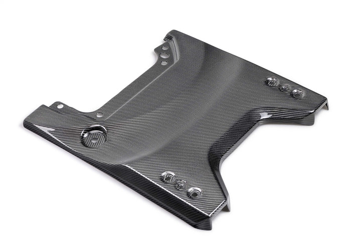 Ford Performance M-16600-BG - Tailgate Panel