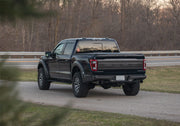 Ford Performance Ford Performance M-16600-FG Tailgate Panel