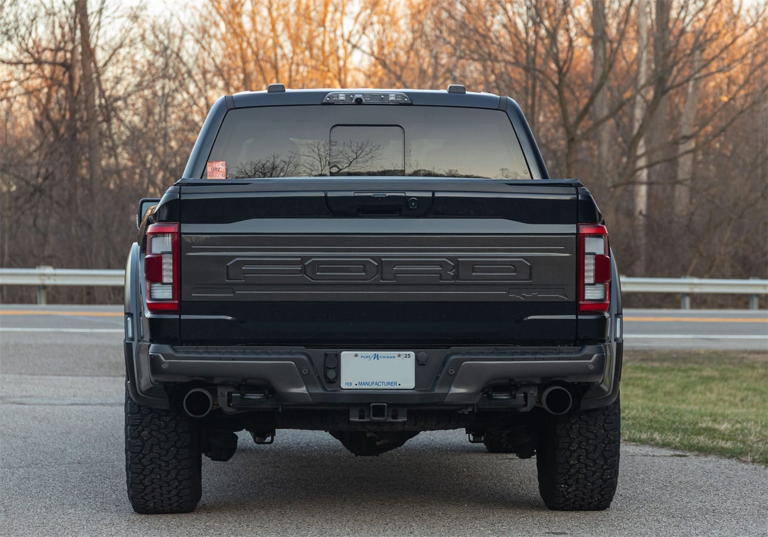 Ford Performance Ford Performance M-16600-FG Tailgate Panel