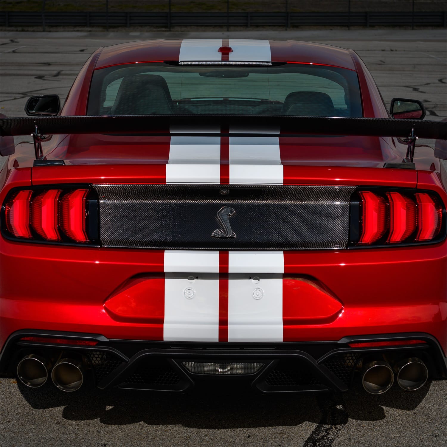 Ford Performance Ford Performance M-16600-MCF Deck Lid Trim
