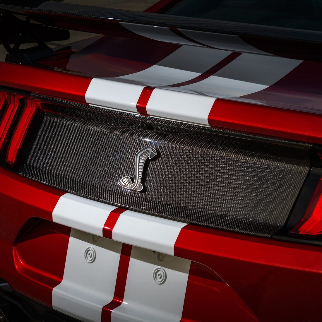 Ford Performance Ford Performance M-16600-MCF Deck Lid Trim