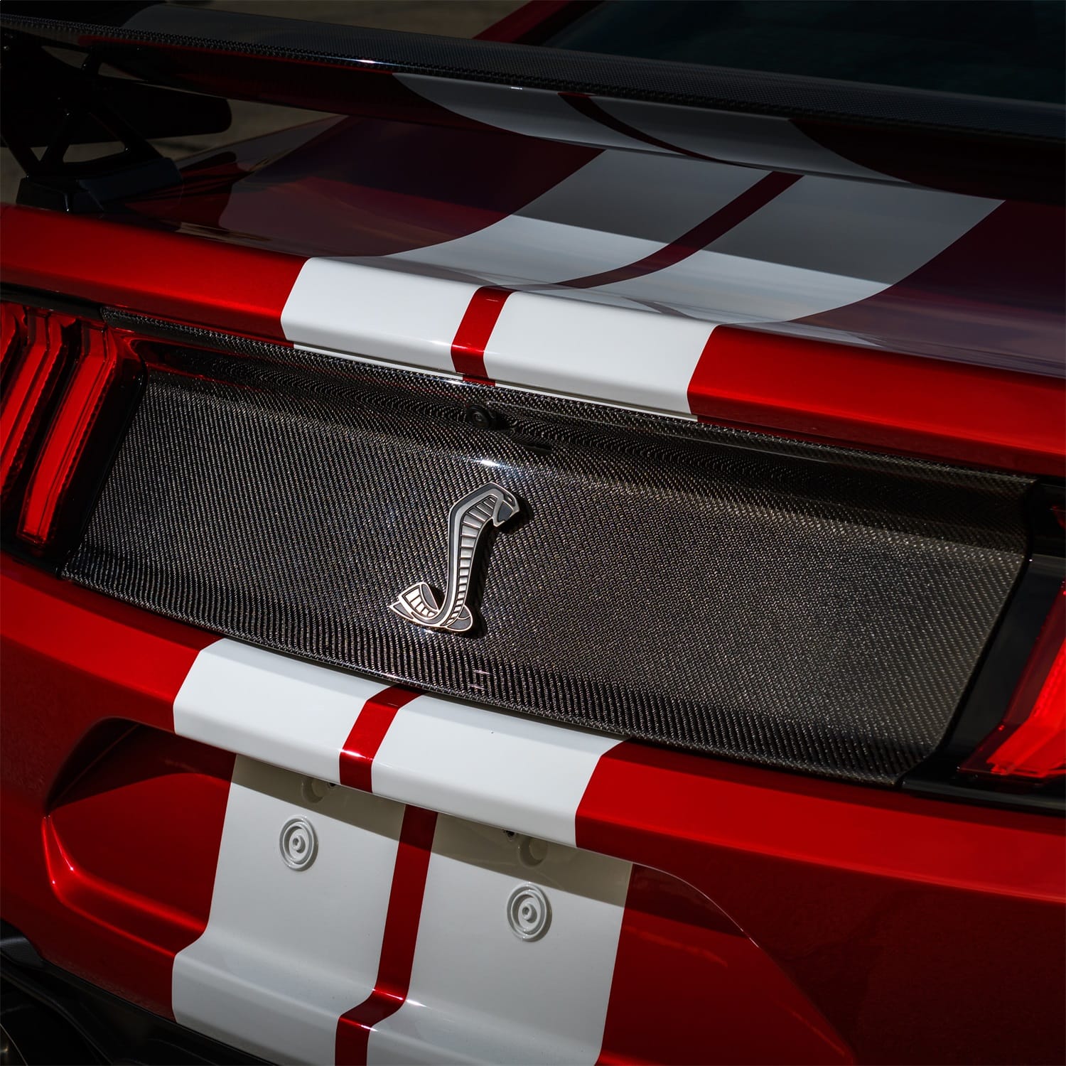 Ford Performance Ford Performance M-16600-MCF Deck Lid Trim