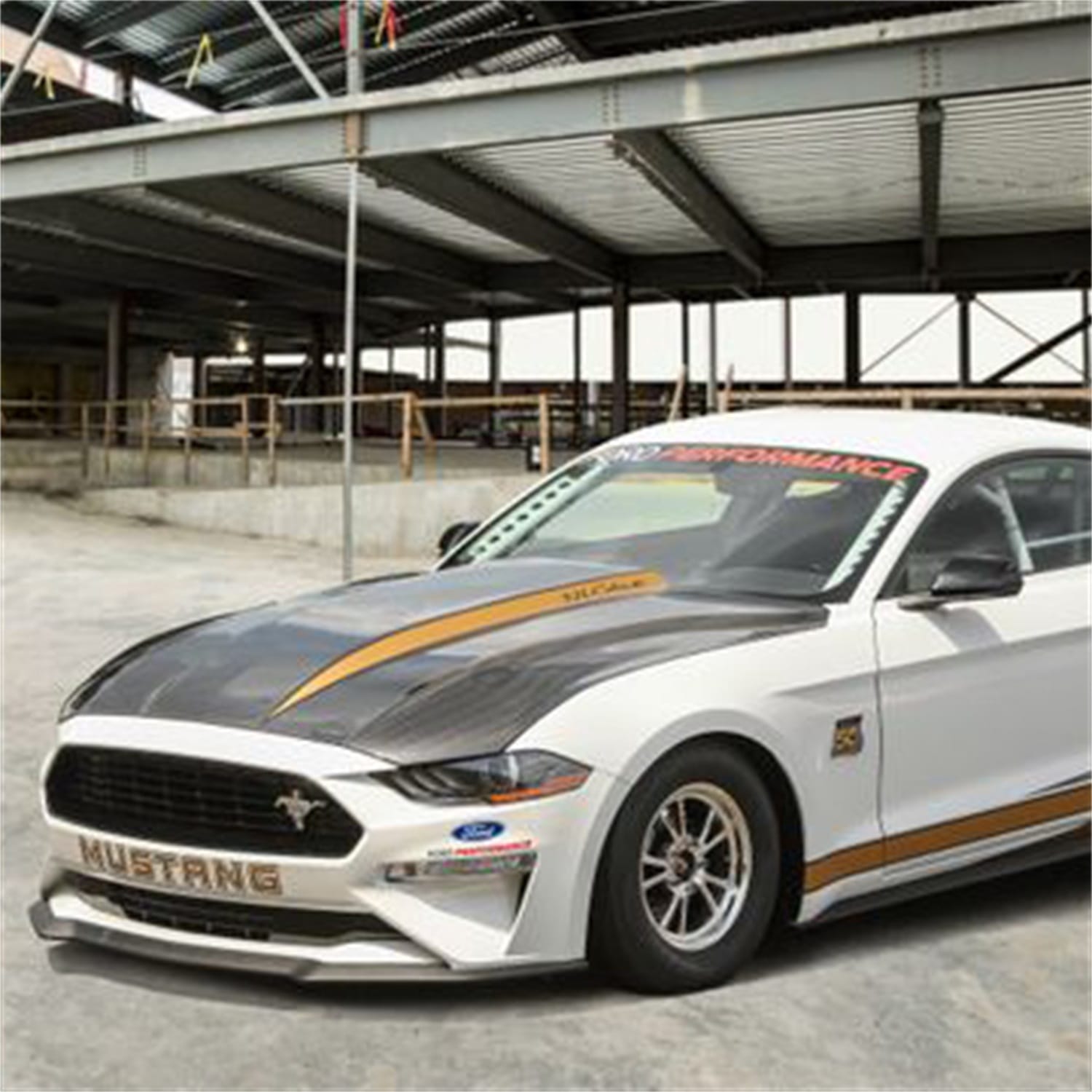 Ford Performance Ford Performance M-16612-AECJ Hood