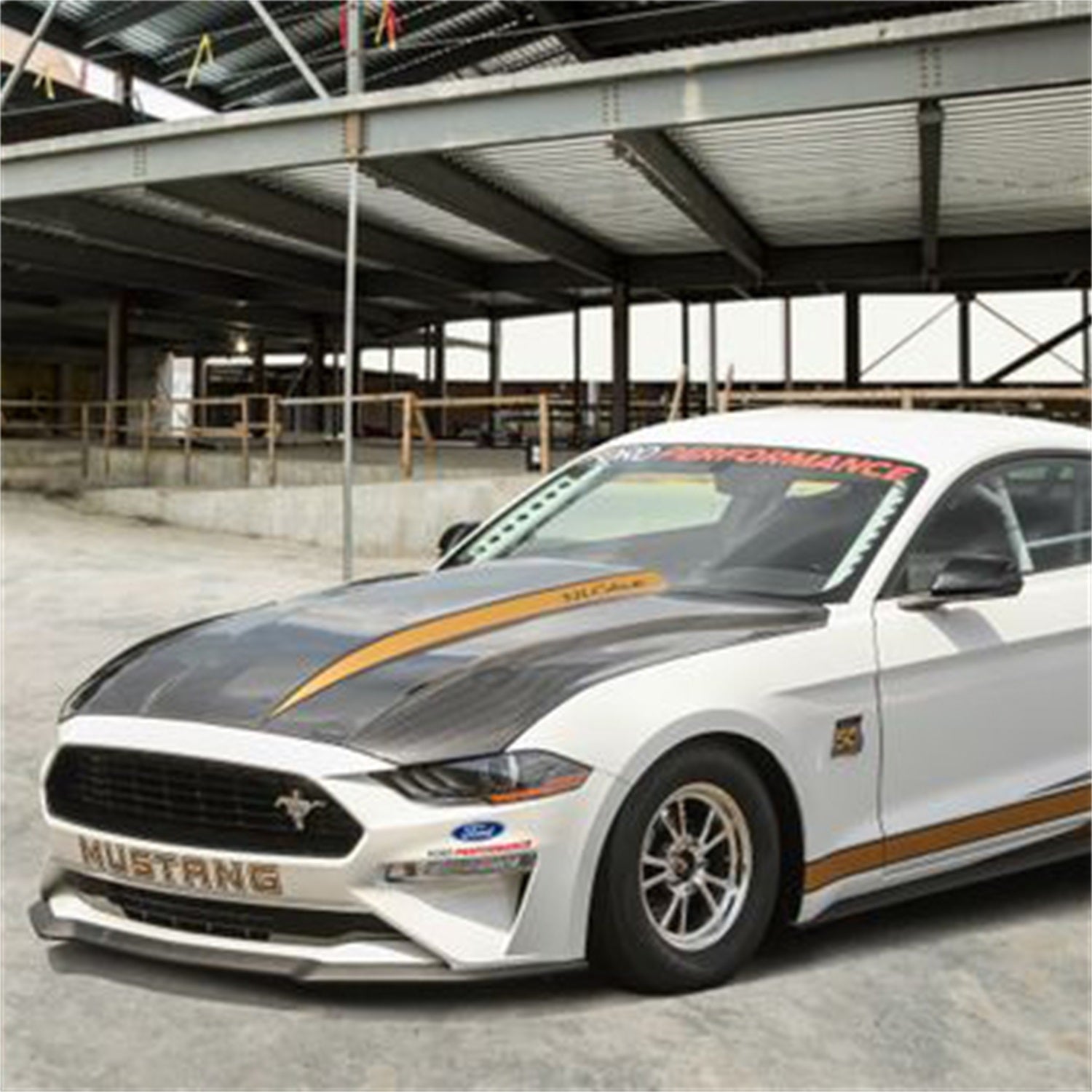 Ford Performance M-16612-AECJ - Hood