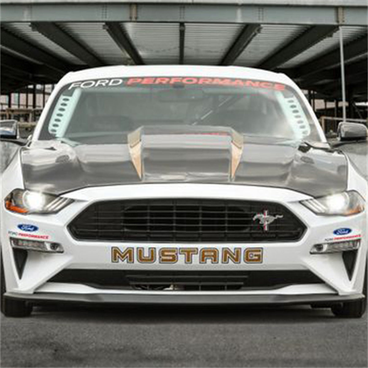 Ford Performance M-16612-AECJ - Hood