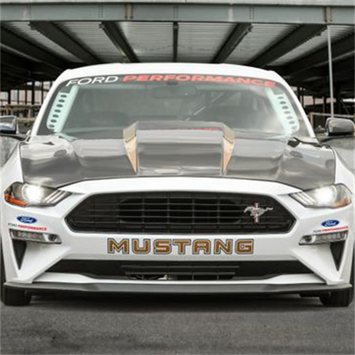 Ford Performance Ford Performance M-16612-AECJ Hood