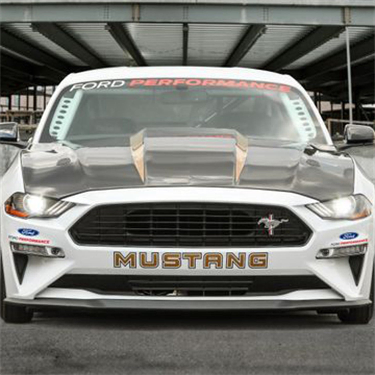 Ford Performance M-16612-AECJ - Hood