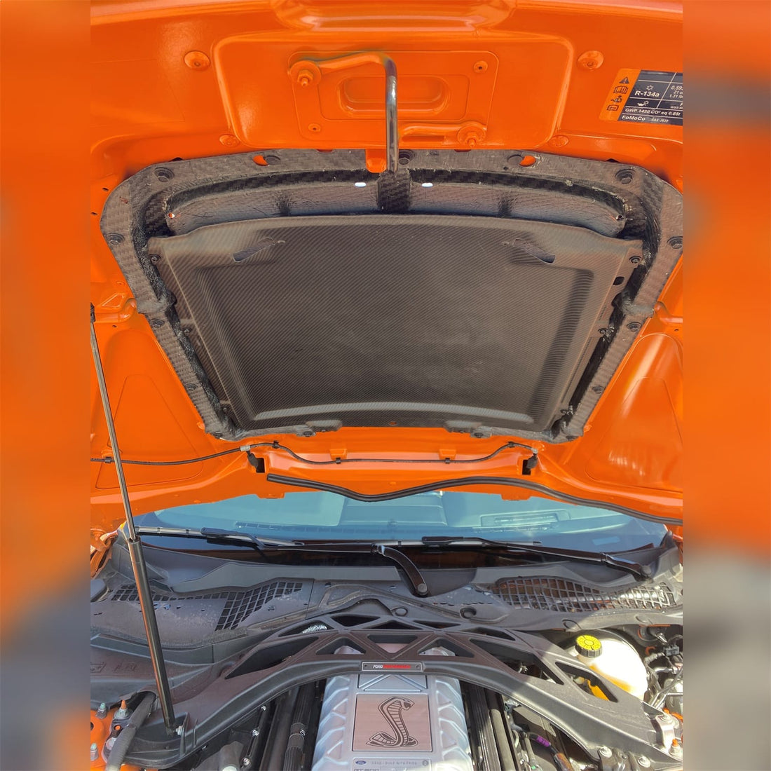 Ford Performance Ford Performance M-16612-C20 Hood Vent